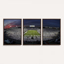 Penn State University Nittany Lions Football Team Print -