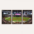 Arizona Diamondbacks Baseball Team Print - Phoenix Chase