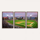 Chicago White Sox Baseball Team Print Canvas- Guaranteed