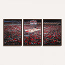 Louisville Cardinals Basketball Print Canvas - Louisville