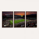 Texas A&M University Aggies Football Team Print - College