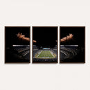 Eagles Field Stadium Wall Art | Philadelphia Eagles Football
