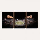 Eagles Field Stadium Wall Art - Lincoln Financial Field