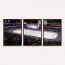 Amalie Arena Florida Wall Art Canvas Print - NHL Hockey