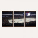 Honda Center California Anaheim Ducks Hockey Stadium Wall