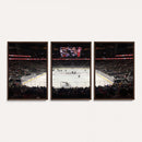 T Mobile Arena Paradise Nevada Vegas Golden Knights Ice