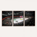 Vaudoise Lausanne Ice Hockey Arena Stadium Wall Art Canvas,