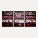 Carolina Hurricanes Ice Hockey Stadium Wall Art, Carolina