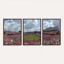 NC State Wolfpack Football Team Print Canvas- Raleigh