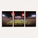 Framed Florida State Seminoles Football Team Print -
