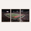 Houston Cougars Football Team Print - Houston TDECU Stadium