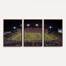 Demon Deacons Print Canvas, Football Team Print -