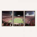 University of Louisville Cardinals Football Team Print -