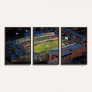University of North Texas Mean Green Football Artwork,