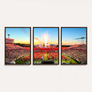 North Carolina State University Canvas Print, North Carolina