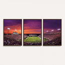 East Carolina University Pirates Football Print Canvas-