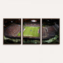Florida Atlantic University Owls Football Team Print - Boca