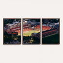 University of Illinois Fighting Illini Football Team Print -