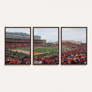 University of Illinois Fighting Illini Football Team Print -