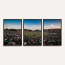 University of Charlotte 49ers Football Team Print -