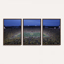 University of Michigan Wolverines Football Team Print - Ann