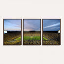 University of Michigan Wolverines Football Team Print - Ann