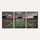 University of Michigan Wolverines Print Canvas, Football