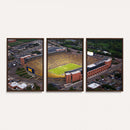 University of Michigan Wolverines Football Team Print - Ann