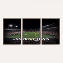 Cincinnati Bearcats Football Team Print - Nippert Stadium