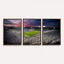 Penn State Nittany Lions Football Team Print - University