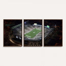 Michigan State Spartans Football Team Print - East Lansing