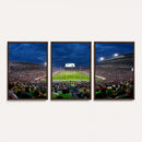 Michigan State Spartans Football Team Print - East Lansing