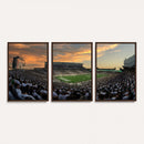 Michigan State Spartans Football Team Print - East Lansing
