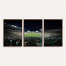 Framed Michigan State Spartans Football Team Print - East