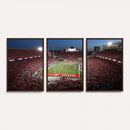 Ohio State University Buckeyes Football Team Print -