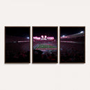 Ohio State University Buckeyes Football Team Print -