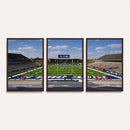 Rice University Owls Football Team Print - Houston Rice