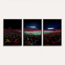 Rutgers Scarlet Knights Football Team Print - SHI Stadium,