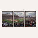 Rutgers Scarlet Knights Football Team Print - SHI Stadium,