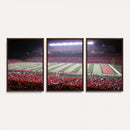 Rutgers University Scarlet Knights Football Team Print -