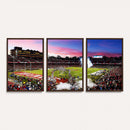 Stanford University Cardinal Football Team Print - Stanford