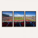 Ball State Cardinals Football Team Print - Muncie Scheumann