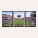 TCU Horned Frogs Football Team Print - Fort Worth Amon G.
