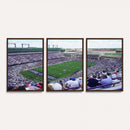 The Texas Christian University TCU Horned Frogs Football