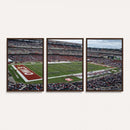 The Temple University Owls Athletics Team Print -