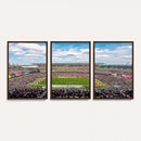 The Temple University Owls Athletics Team Print -
