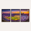 The Louisiana State University Tigers Football Team Print -