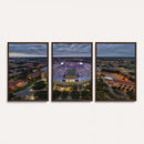 The Louisiana State University Tigers Football Team Print -
