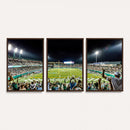 The Tulane University Green Wave Football Team Print - New