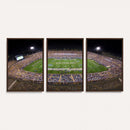 The University of Connecticut UCONN Huskies Football Team